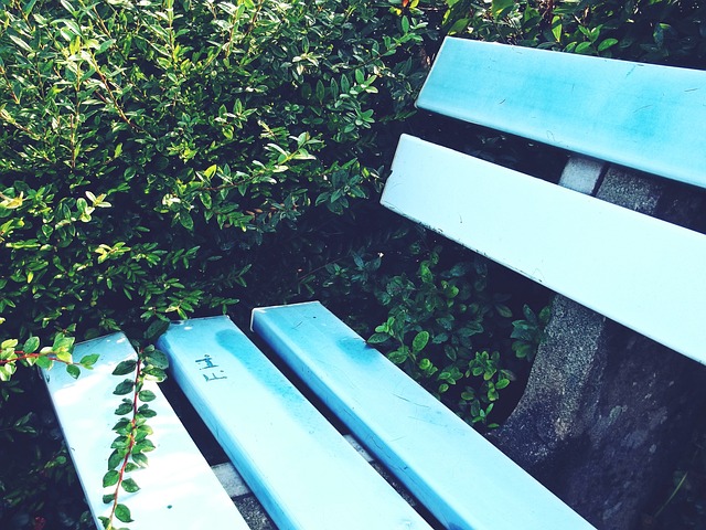 大连英博队迎来队史第100场比赛