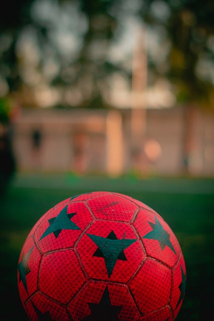 直击2025武汉马运会现场：马术青训人群数量倍增，有参赛者13岁已学习马术6年